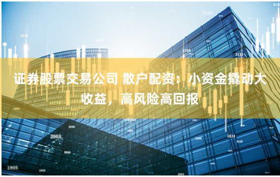 证券股票交易公司 散户配资：小资金撬动大收益，高风险高回报